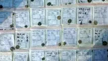 نسخه 750 ساله در کتابخانه تبریز رونمایی می‌شود + عکس