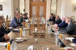 Iran's Amir-Abdollahian, UN's Griffiths hold talks in Tehran