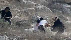رویترز: فرانسه به‌دنبال اعمال تحریم بر شهرک‌نشینان صهیونیست است