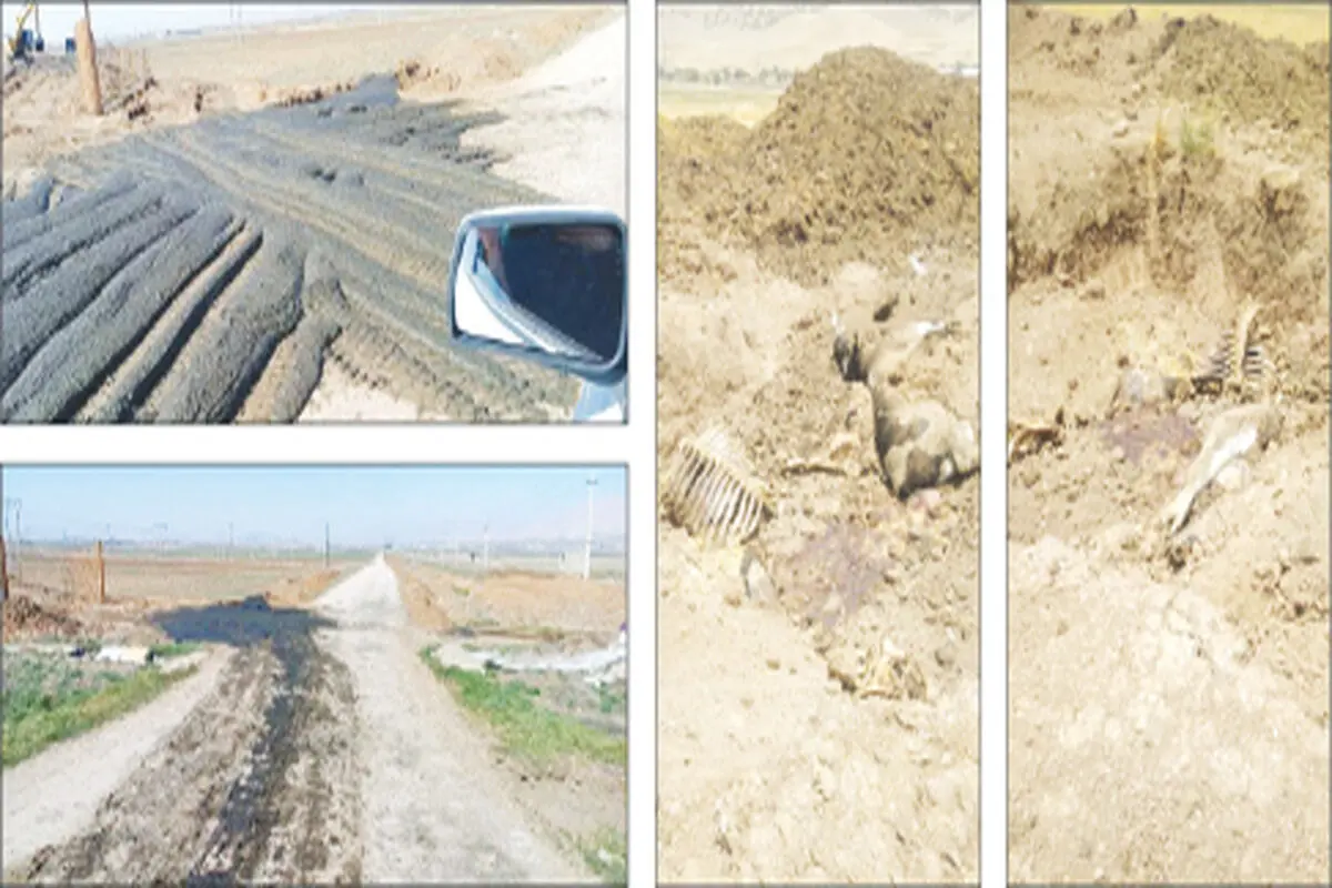 پشت‌پرده یک پرونده زمین‌خواری  و آوارگی ۵۰ خانواده