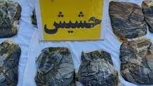 ۳۵۴ کیلوگرم «حشیش» در دو عملیات ضربتی در هرمزگان کشف شد

