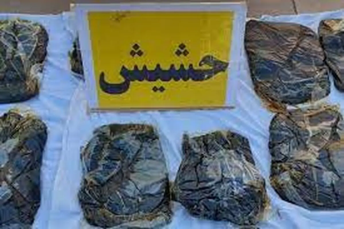 ۳۵۴ کیلوگرم «حشیش» در دو عملیات ضربتی در هرمزگان کشف شد

