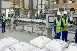 تحلیل صنعتی توسعه تولید پودر کربنات کلسیم کوتد در ایران