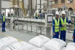 تحلیل صنعتی توسعه تولید پودر کربنات کلسیم کوتد در ایران