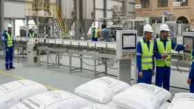 تحلیل صنعتی توسعه تولید پودر کربنات کلسیم کوتد در ایران