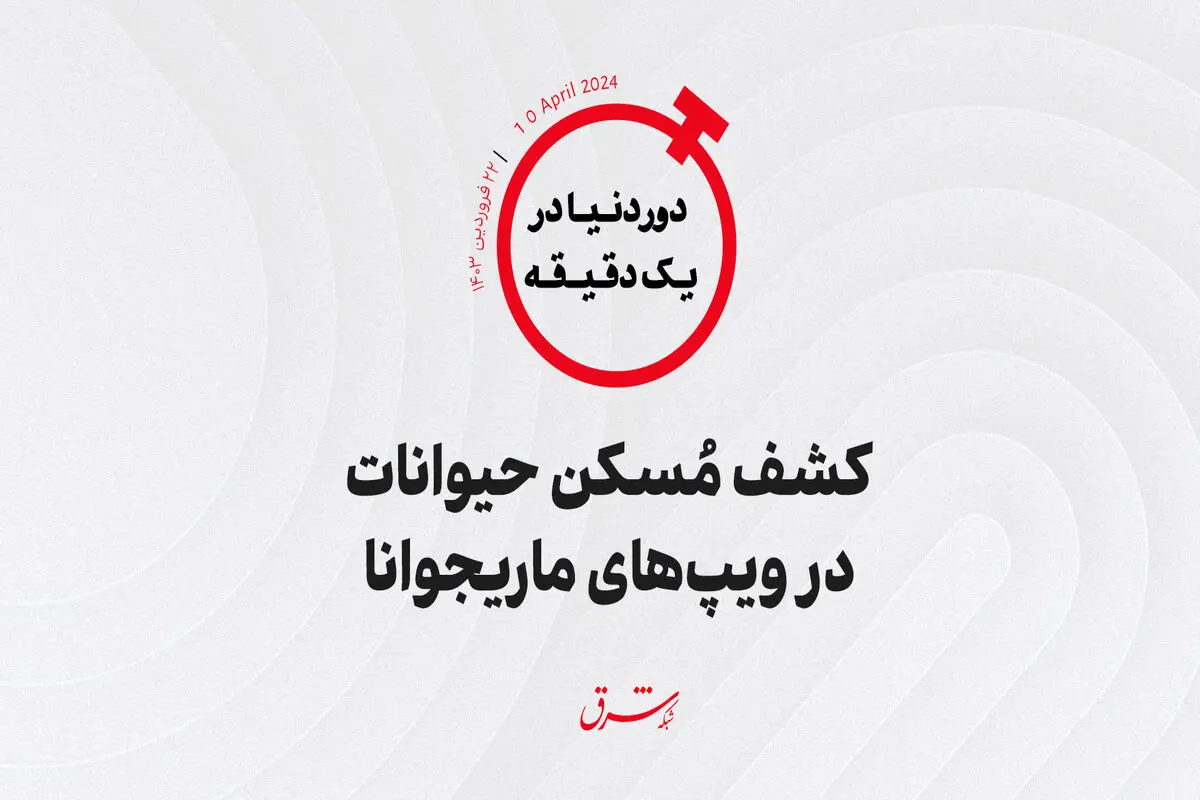 کشف مُسکن حیوانات در ویپ‌های ماریجوانا

