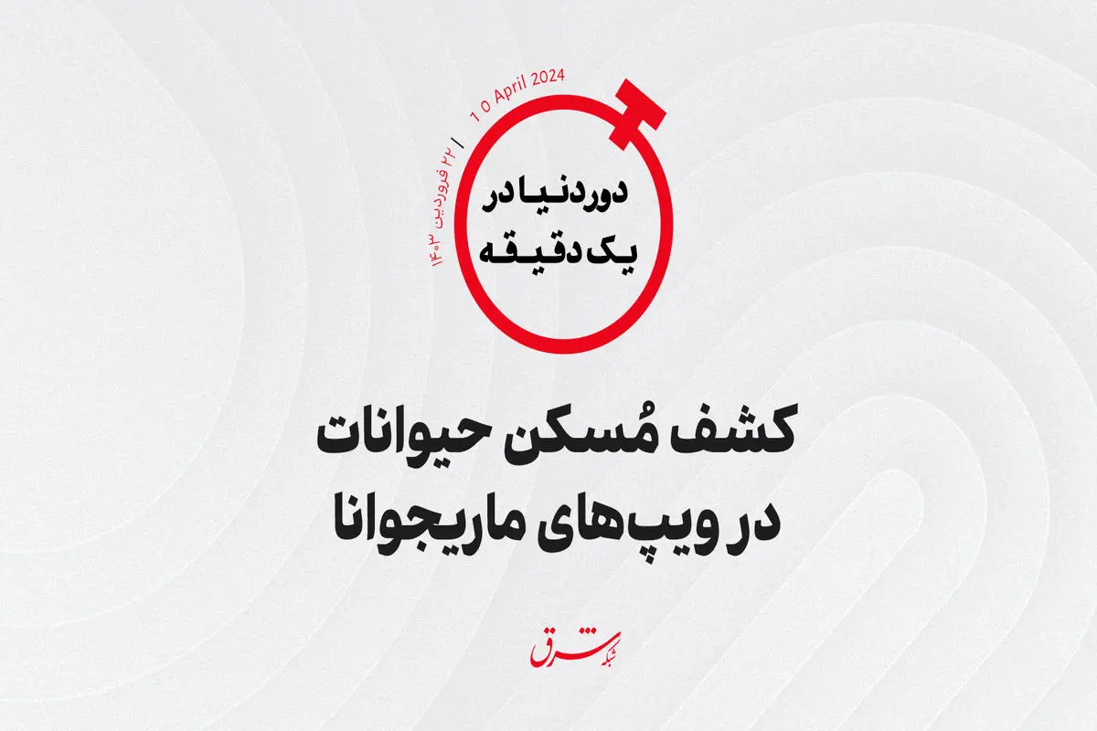 کشف مُسکن حیوانات در ویپ‌های ماریجوانا

