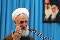 صدیقی: نظام ایران مشروعیت الهی و مقبولیت مردمی دارد / ولایت فقیه به طور غیرمستقیم از سوی خدا منصوب شده

