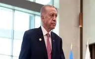 Israeli regime infringing on all values of humanity: Erdogan