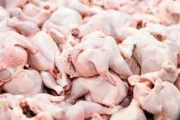 قیمت انواع گوشت مرغ؛ شنبه ۹ فروردین ۱۴۰۴