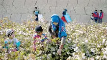 دو روز در جهنم