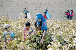  یک تکه زمین فقیر
