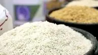 بازار برنج در آستانه تعدیل قیمت؛ عرضه گسترده در روزهای آینده