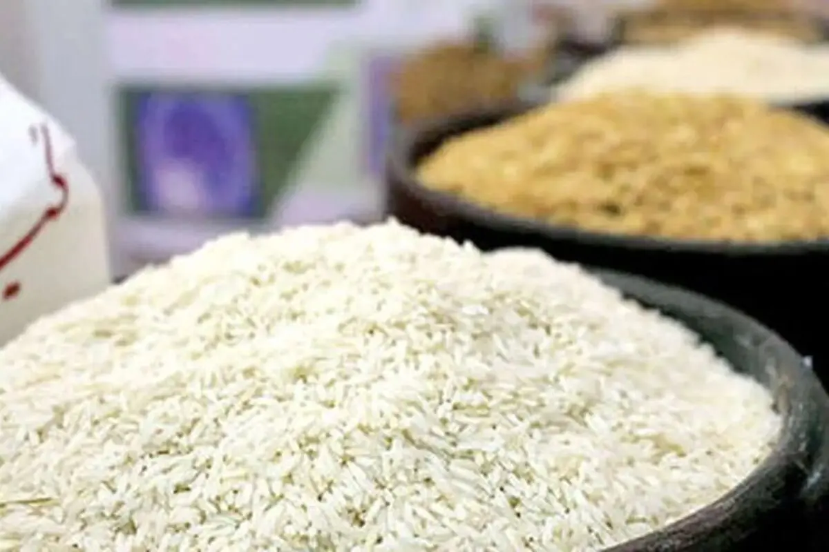 بازار برنج در آستانه تعدیل قیمت؛ عرضه گسترده در روزهای آینده