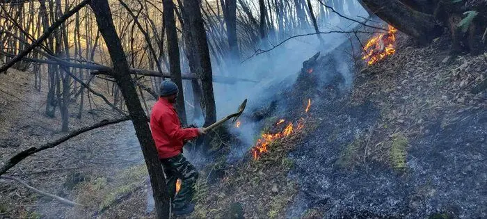 شعله ور شدن مجدد آتش در جنگل‌های دیزمار جلفا

