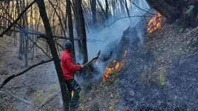 شعله ور شدن مجدد آتش در جنگل‌های دیزمار جلفا
