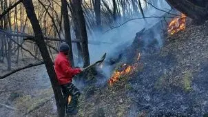 شعله ور شدن مجدد آتش در جنگل‌های دیزمار جلفا
