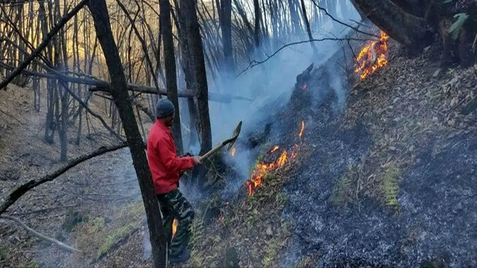 شعله ور شدن مجدد آتش در جنگل‌های دیزمار جلفا
