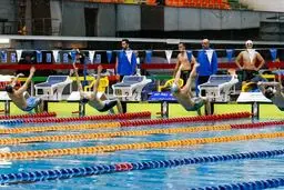 قهرمان لیگ برتر شنا اعلام شد