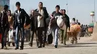 بازداشت ۳۳ نفر از اتباع خارجی در مهریز یزد
