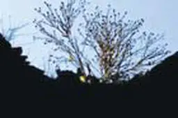 طبیعت با ما در سخن است
