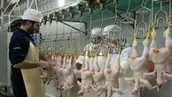 کشتار مرغ‌ها برای فرار از ضرر
