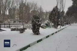 اولین برف زمستانی در اردبیل+ ویدئو
