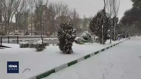 اولین برف زمستانی در اردبیل+ ویدئو