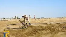 سرقت سوخت هواپیما در بندرعباس!
