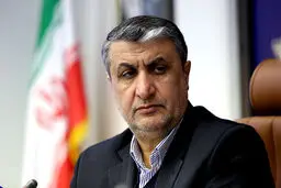 واکنش رئیس سازمان انرژی اتمی به اظهارات گروسی