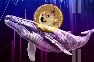 رشد قابل توجه قیمت دوج کوین