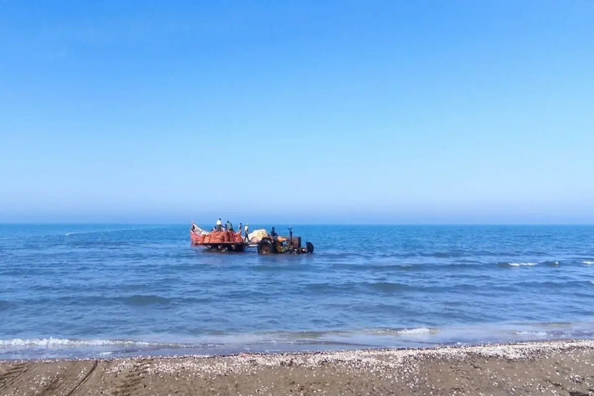 ۱.۵ میلیون مترمربع از سواحل غرب مازندران خشک شد