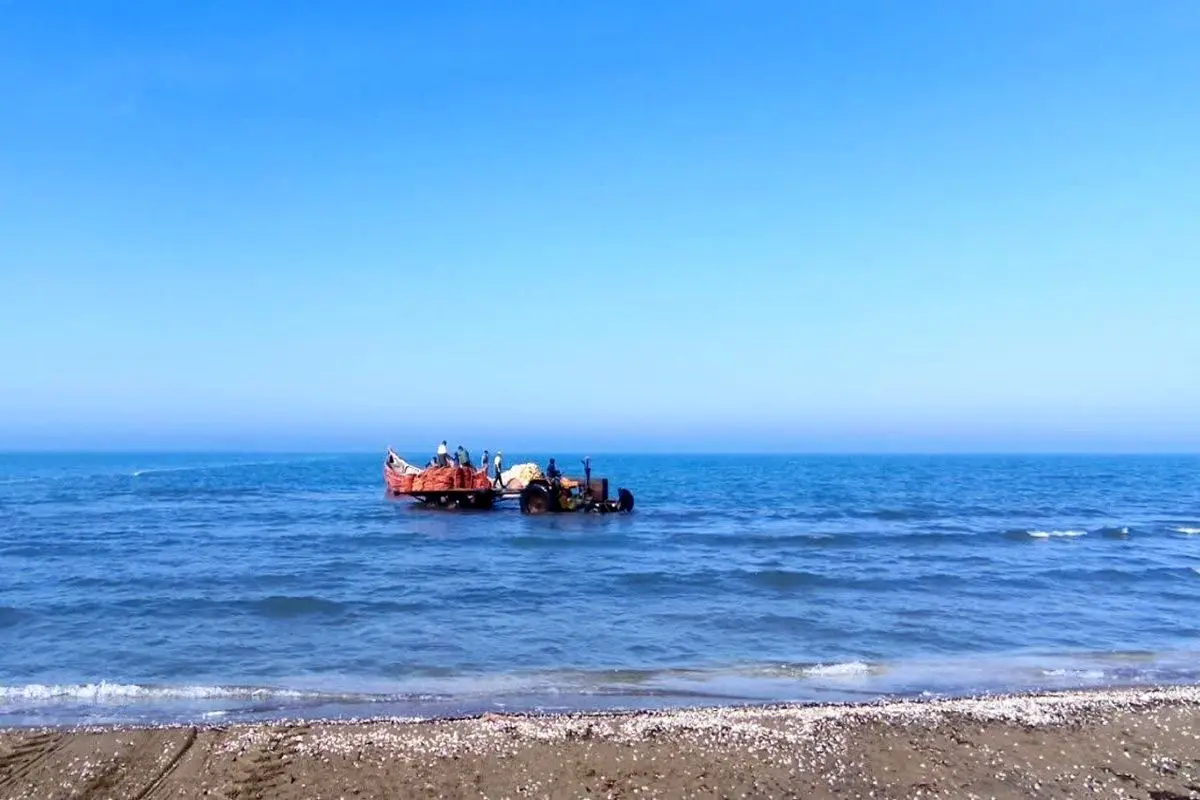 ۱.۵ میلیون مترمربع از سواحل غرب مازندران خشک شد