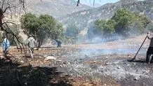 مهار آتش‌سوزی در منطقه حفاظت‌شده «مانشت و «قلارنگ» در ایلام