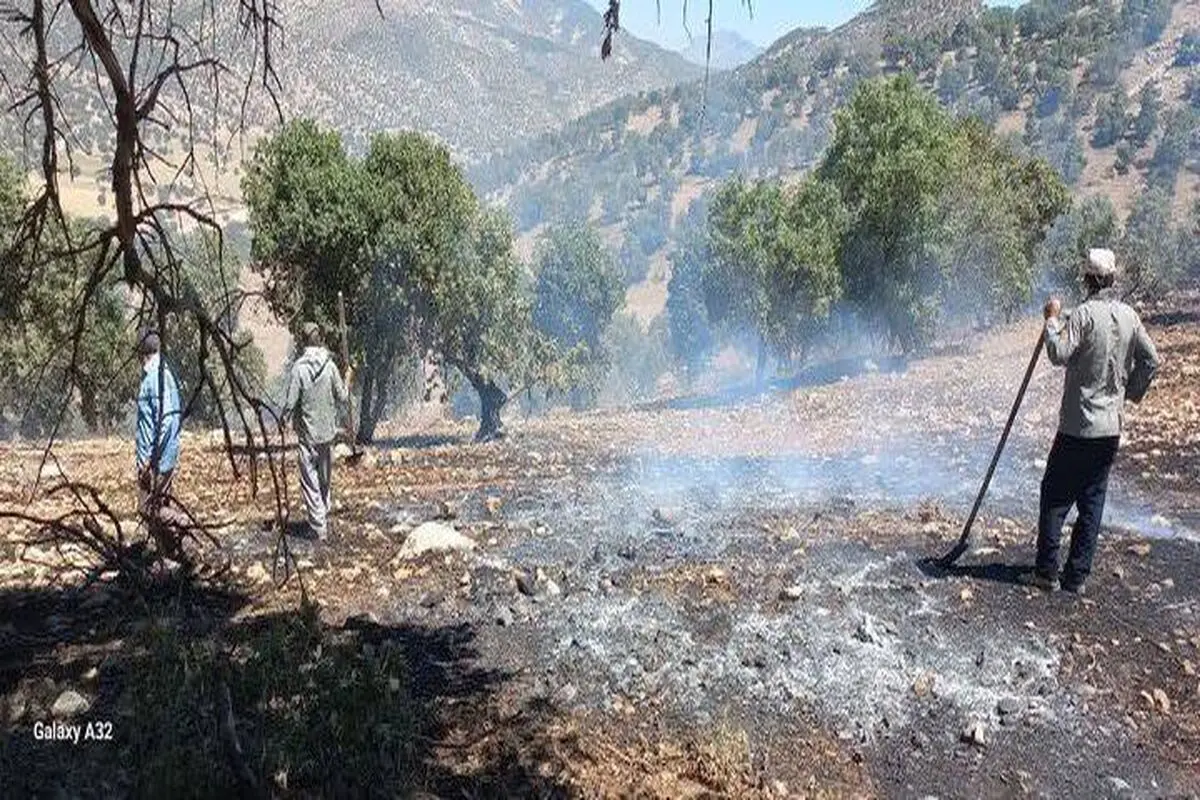 مهار آتش‌سوزی در منطقه حفاظت‌شده «مانشت و «قلارنگ» در ایلام