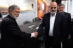 ایران به دنبال گسترش روابط با کشورهای مستقل از جمله برزیل است


