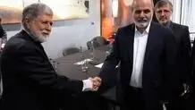 ایران به دنبال گسترش روابط با کشورهای مستقل از جمله برزیل است

