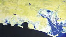 آشیانه‌هایی که با تلنگری می‌ریزند