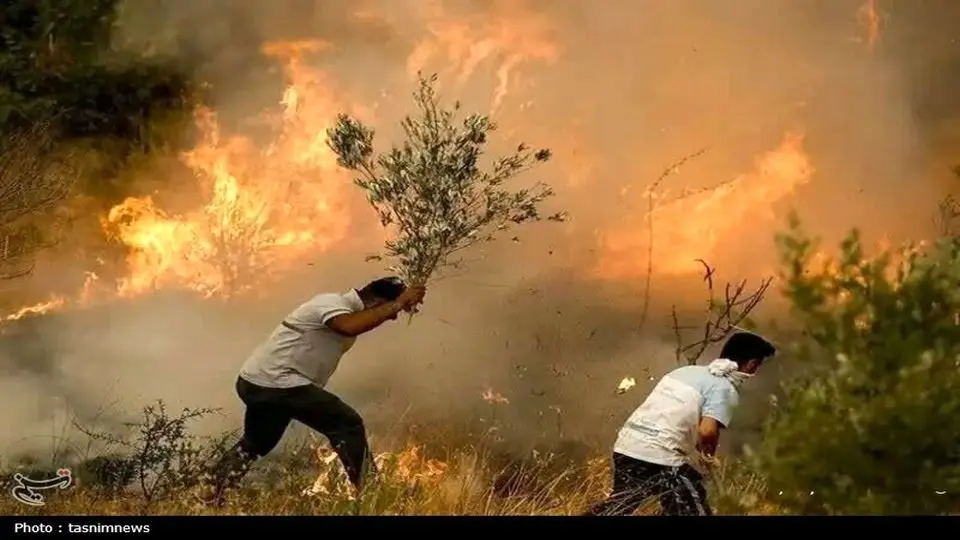 ۲۰ هکتار جنگل خاکستر شد