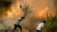 ۲۰ هکتار جنگل خاکستر شد