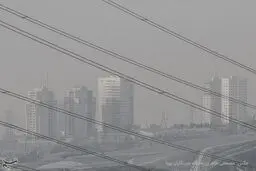 یک راه‌حل اساسی  برای حل مشکل آلودگی هوا

