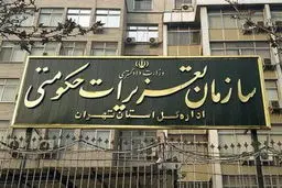 سخنگوی سازمان تعزیرات: دخالت آرایشگاه‌های زنانه در پزشکی جرم است