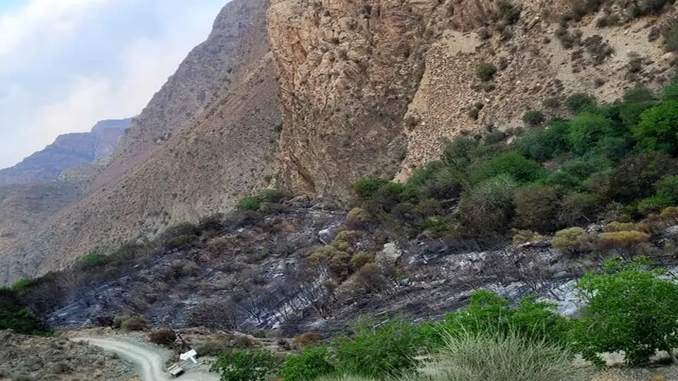 بهشت گمشده در آتش سوخت