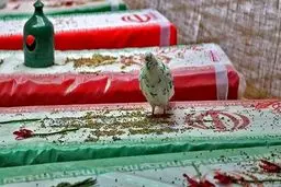 بازگشت پیکر ۸ شهید مدافع‌ حرم از سوریه پس از 7 سال
