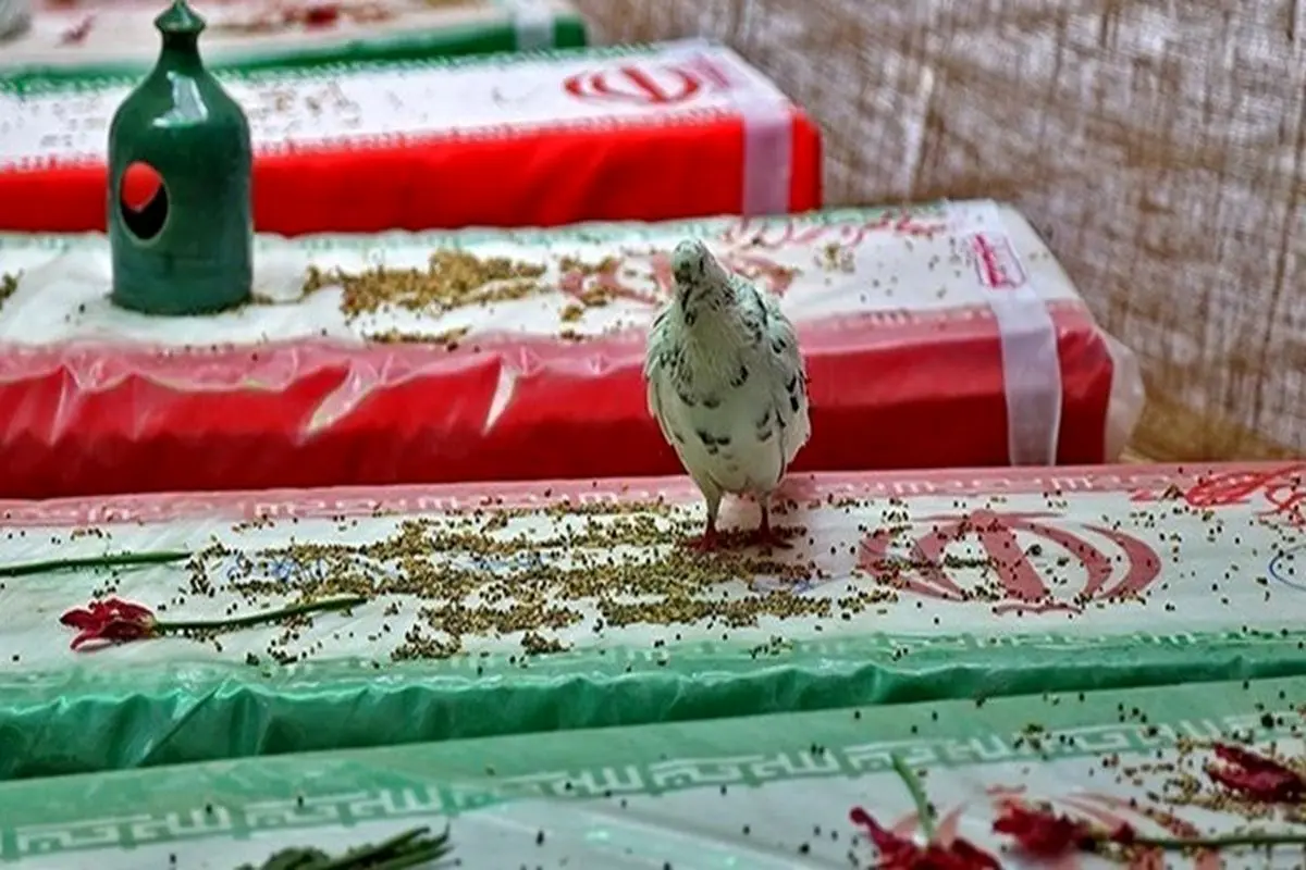 بازگشت پیکر ۸ شهید مدافع‌ حرم از سوریه پس از 7 سال

