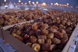 جزییات محدودیت صادرات خرما 