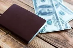 اختلال در پرداخت ارز مسافرتی در فرودگاه امام
