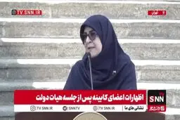 توضیحات سخنگوی دولت درباره احتمال افزایش قیمت بنزین  + ویدیو
