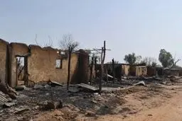 حمله مسلحانه به روستایی در شمال‌شرق نیجریه/ بیش از ۲۰ نفر کشته شدند