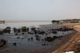آلودگی نفتی در منطقه سوزای قشم